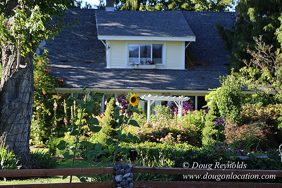Patricks Farm Well maintained property, Lots of flowers Old Barn Farm House fruit trees Berries, Goats, Chicken’s, Turkey,