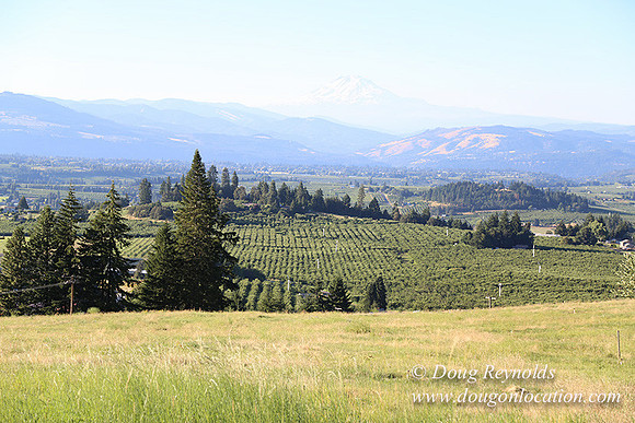 Both Hill Rd-8615
