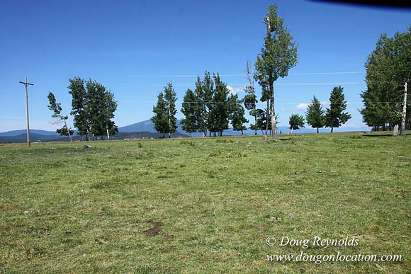 2500 Acres of green fields Creeks water crossing Bridges on a Large Lake and miles of Dirt roads Oak trees Forest land ATV Trails cows