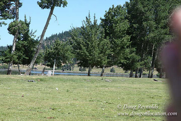 2500 Acres of green fields Creeks water crossing Bridges on a Large Lake and miles of Dirt roads Oak trees Forest land ATV Trails cows
