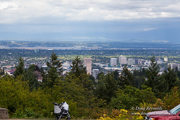 Council Crest Park View