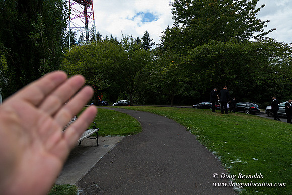 Council Crest Park View