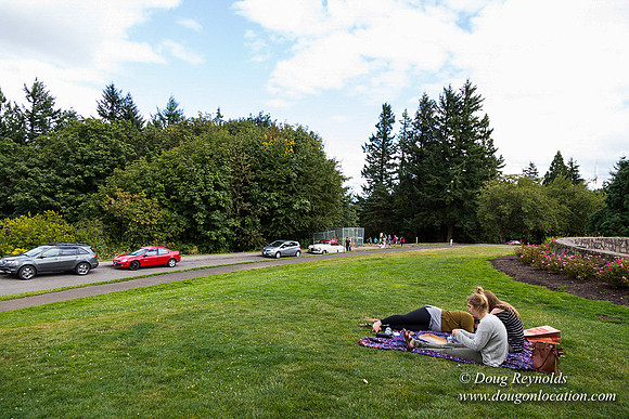 Council Crest Park View