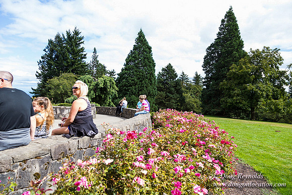 Council Crest Park View