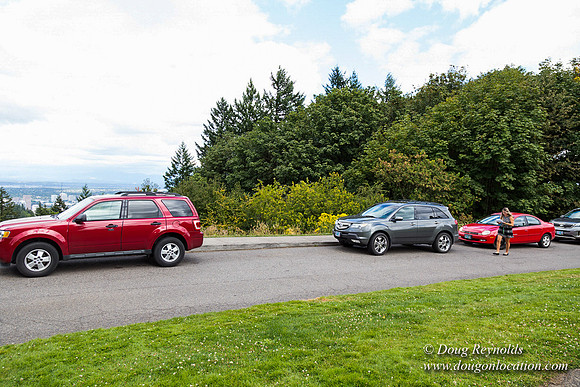 Council Crest Park View