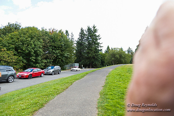 Council Crest Park View