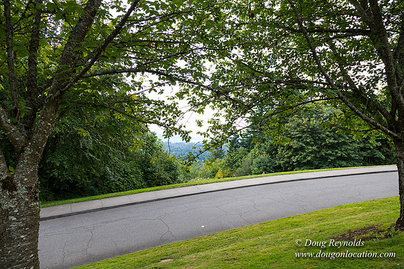 Council Crest Park View