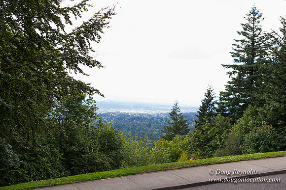 Council Crest Park View