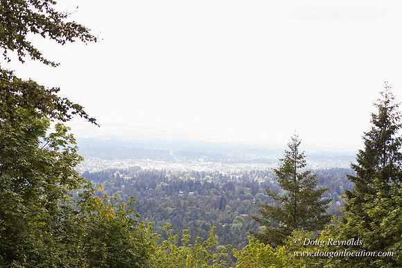Council Crest Park View