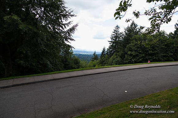 Council Crest Park View