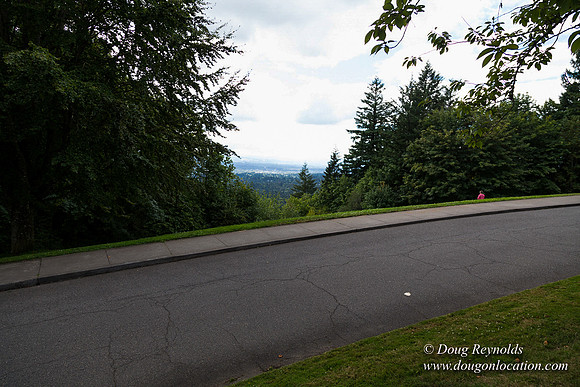 Council Crest Park View