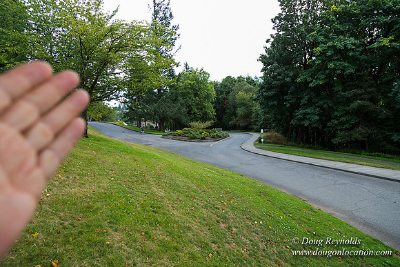 Council Crest Park View