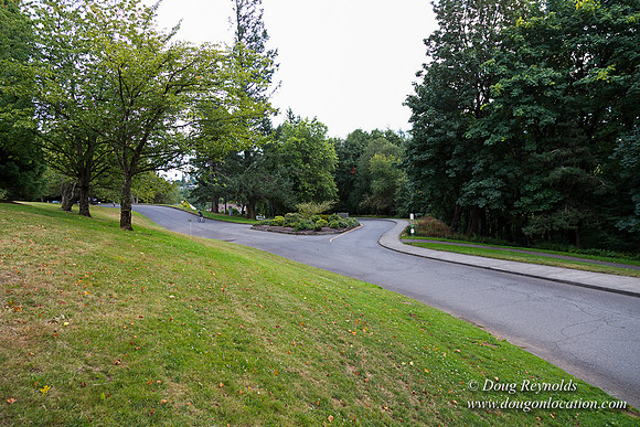 Council Crest Park View