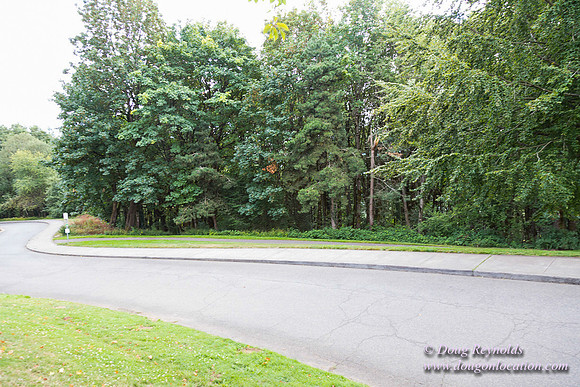 Council Crest Park View