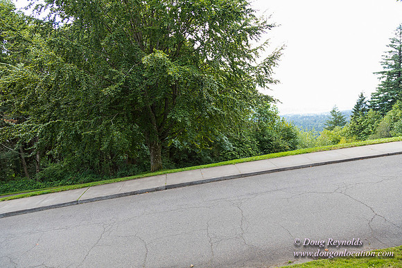 Council Crest Park View