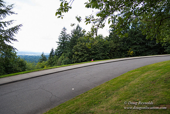 Council Crest Park View