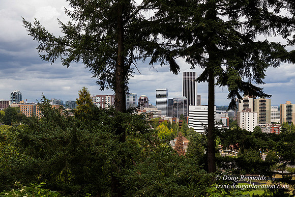 Terwilliger View 1