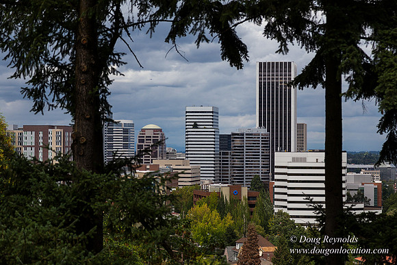 Terwilliger View 1