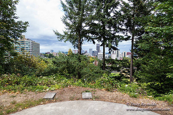Terwilliger View 1