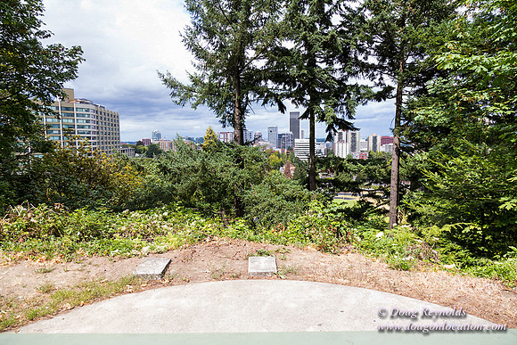 Terwilliger View 1