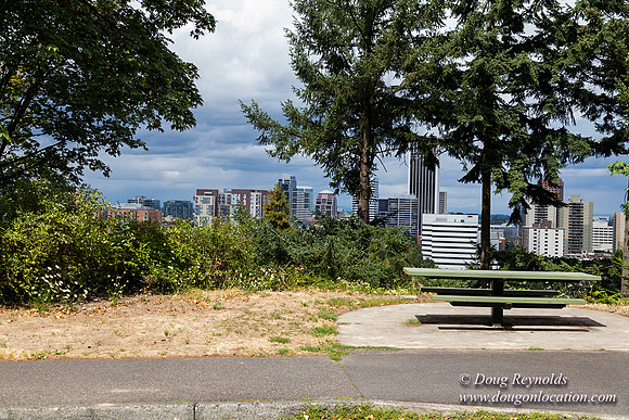 Terwilliger View 1