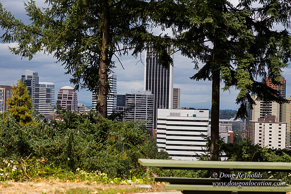 Terwilliger View 1