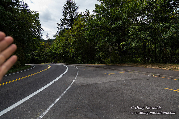 Terwilliger View 1