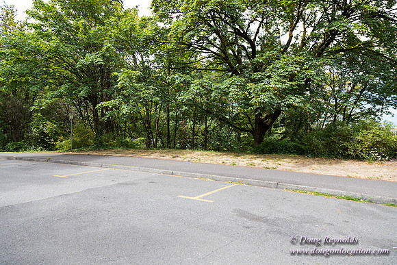 Terwilliger View 1