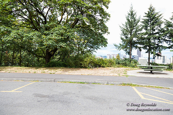 Terwilliger View 1