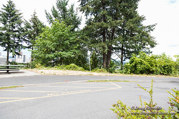 Terwilliger View 1