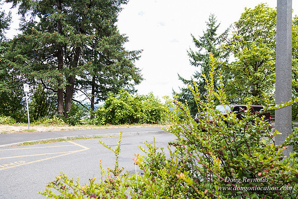 Terwilliger View 1