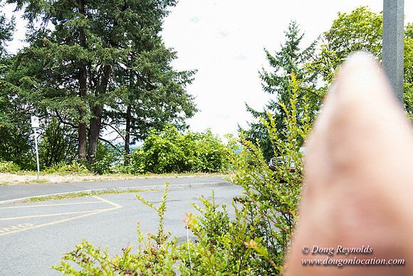 Terwilliger View 1