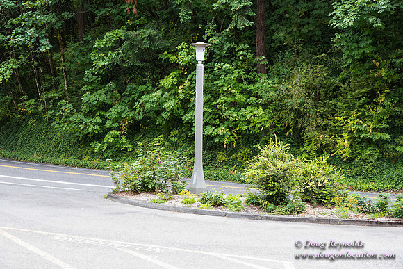 Terwilliger View 1