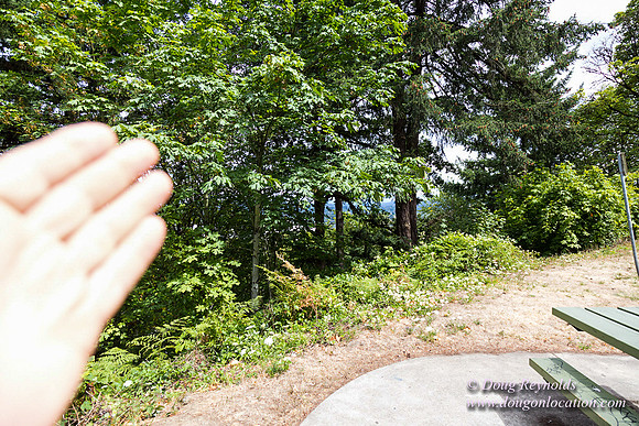 Terwilliger View 1
