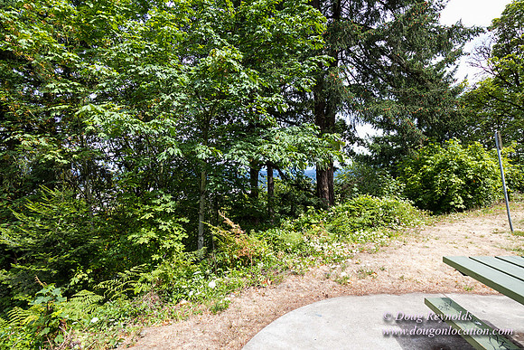 Terwilliger View 1