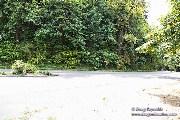 Terwilliger View 1
