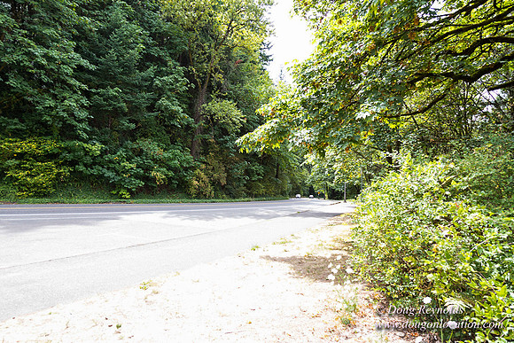 Terwilliger View 1