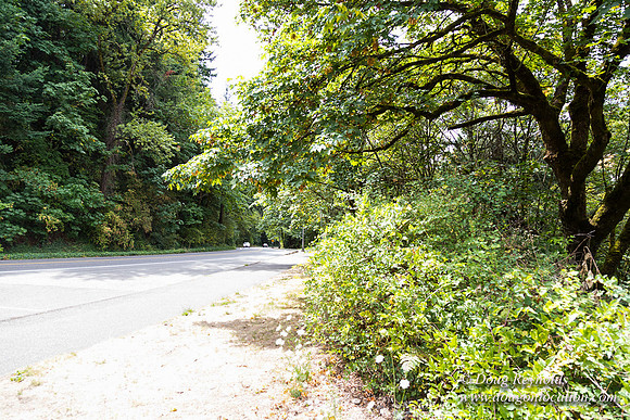Terwilliger View 1