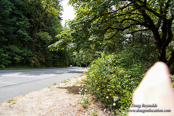 Terwilliger View 1