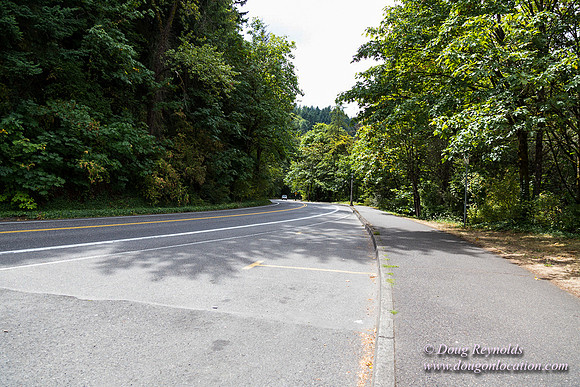 Terwilliger View 1