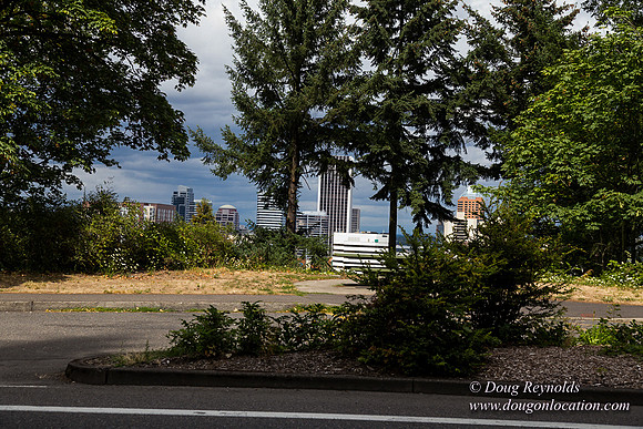 Terwilliger View 1