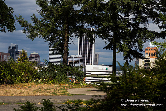 Terwilliger View 1