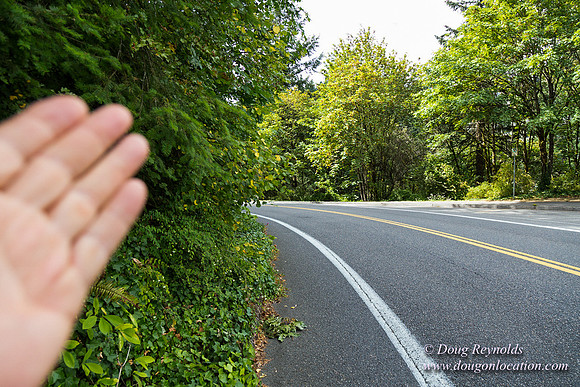Terwilliger View 1