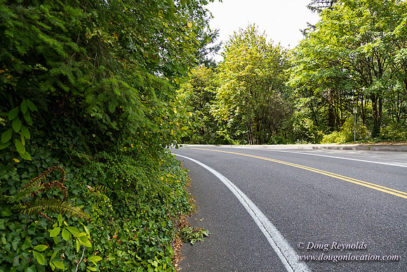 Terwilliger View 1