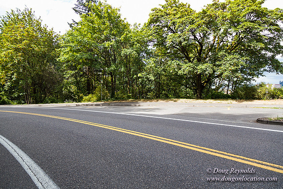 Terwilliger View 1