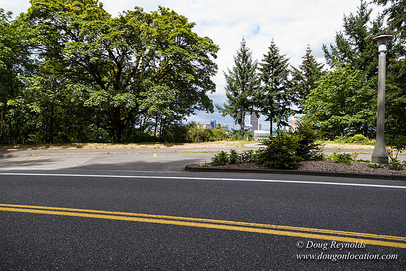 Terwilliger View 1