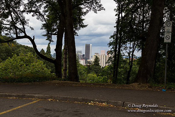 Terwilliger View 2