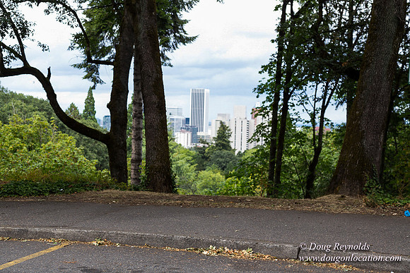 Terwilliger View 2