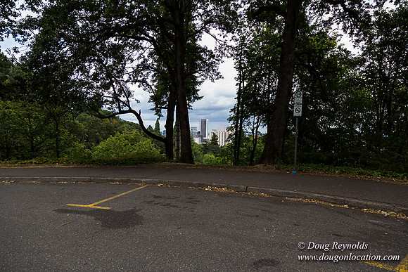 Terwilliger View 2
