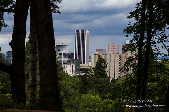 Terwilliger View 2